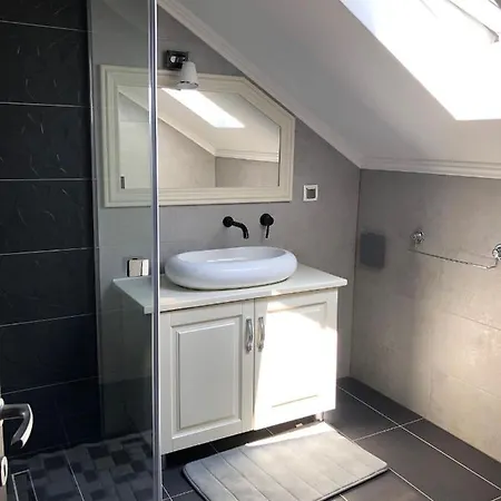 Pensiunea Sofia Holiday home