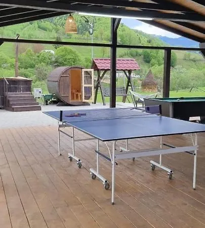 Holiday home Pensiunea Sofia Telciu